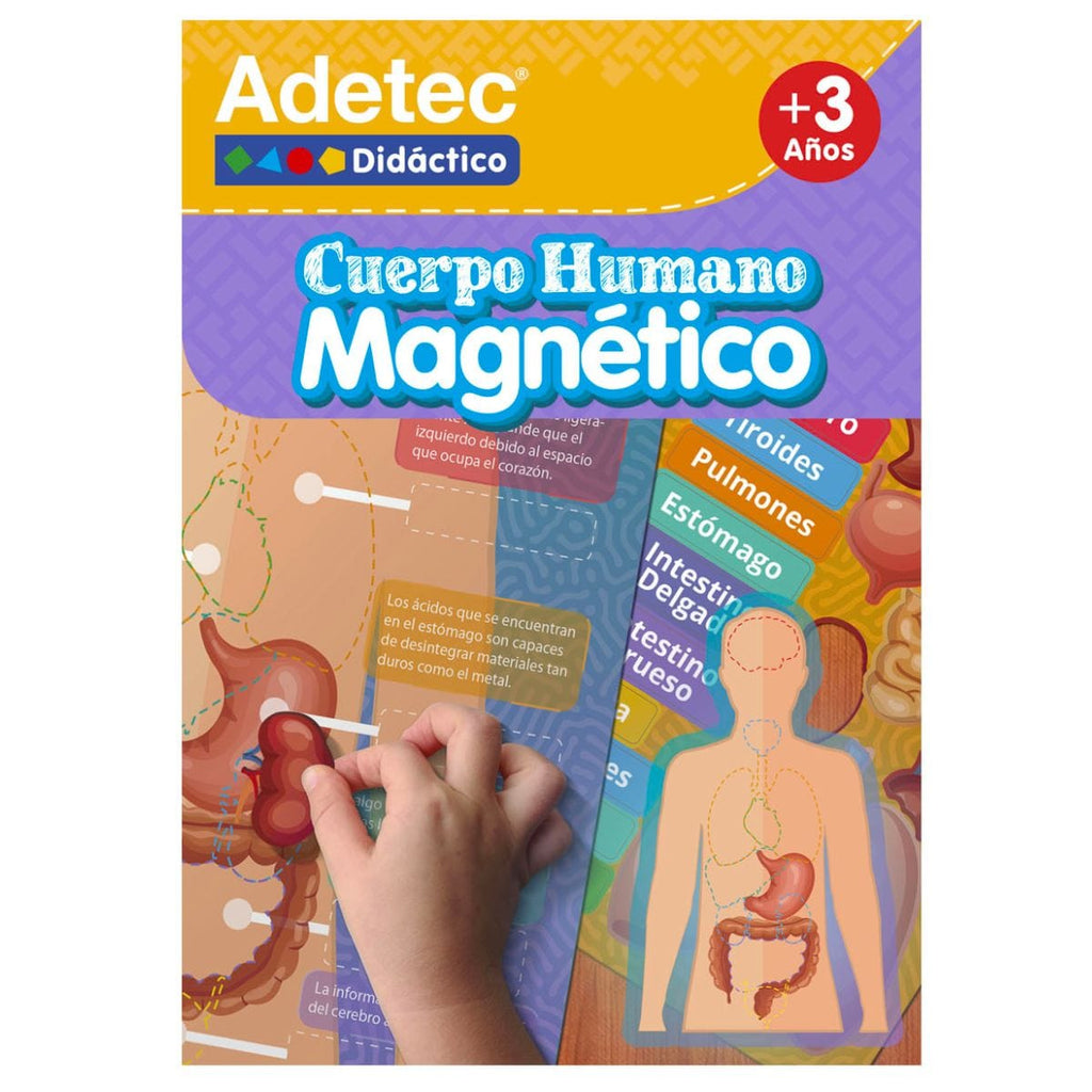 Juguetes educativos Láminas Magnéticas del Cuerpo Humano Adetec 7806515007205